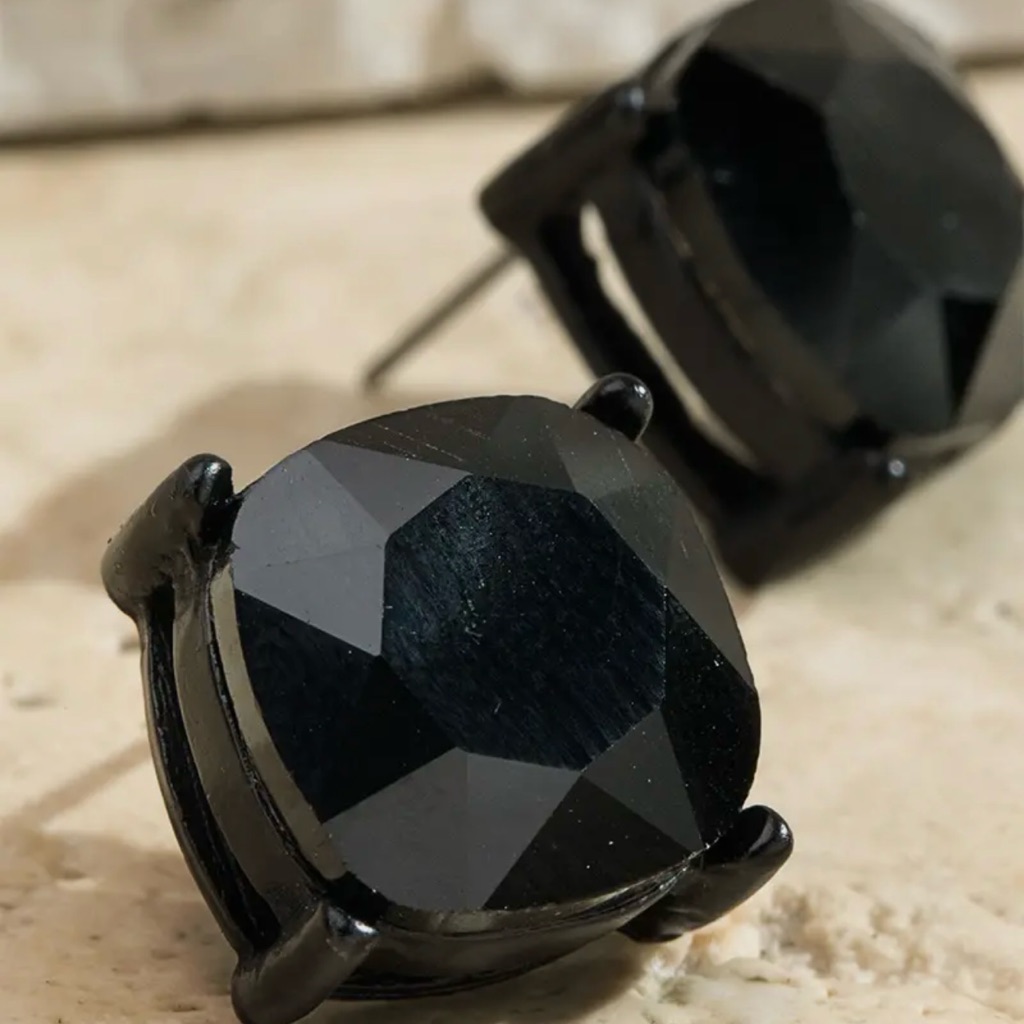 Black Stud Earrings Nwt